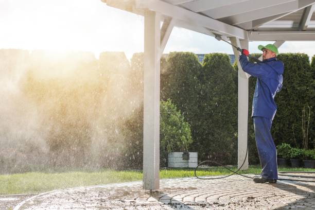 Best Animal Enclosure Cleaning  in Morrisville, NY